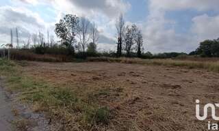 Terrain  3239 m² à vendre à Claira (66530)