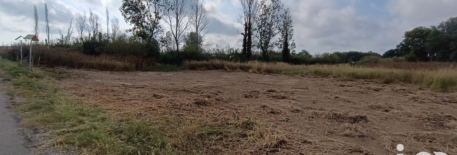 Terrain  3239 m² à vendre à Claira (66530)