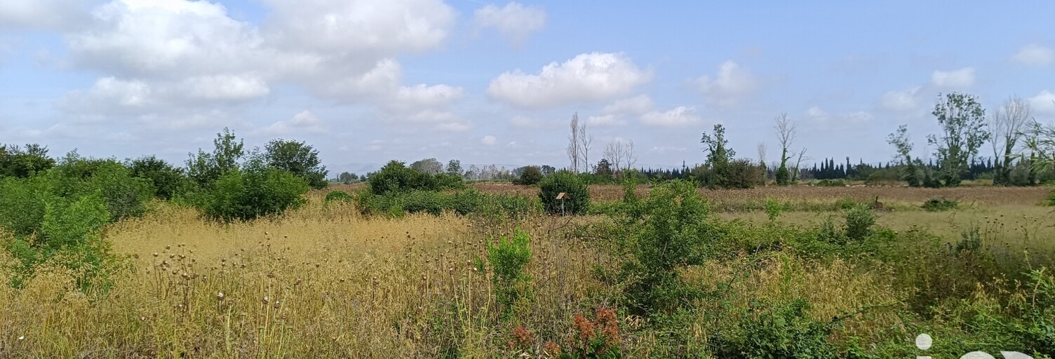 Terrain  1719 m² à vendre à Claira (66530)