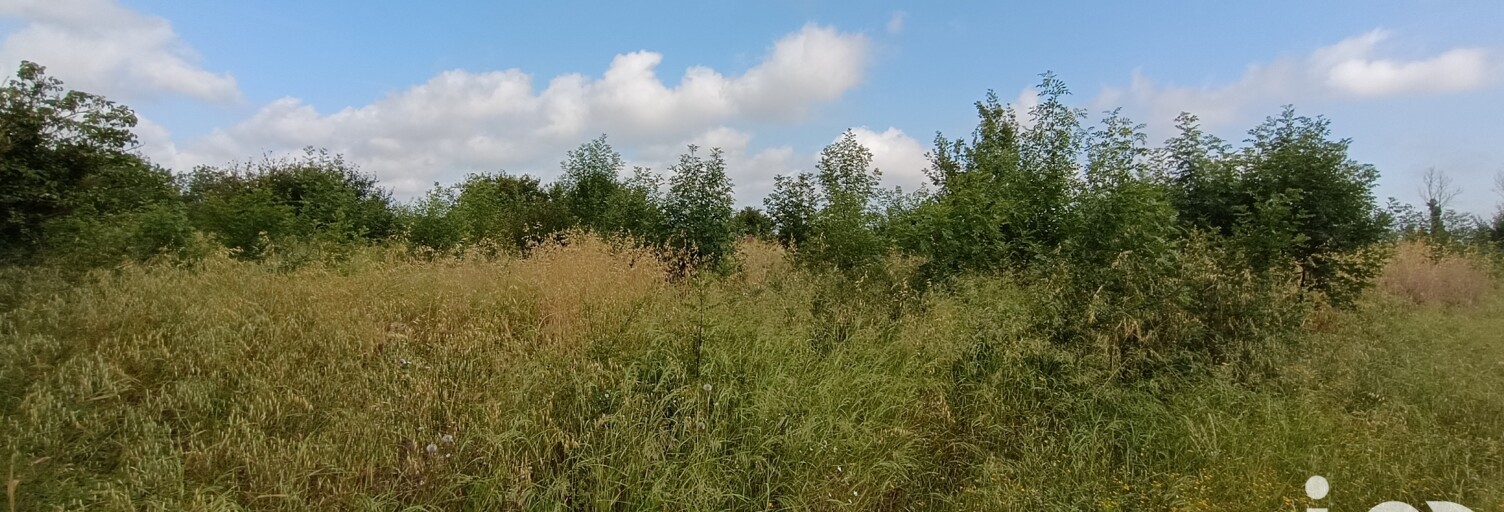 Terrain  1804 m² à vendre à Claira (66530)