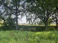 Terrain à bâtir de 0 pièces principales — photo 2