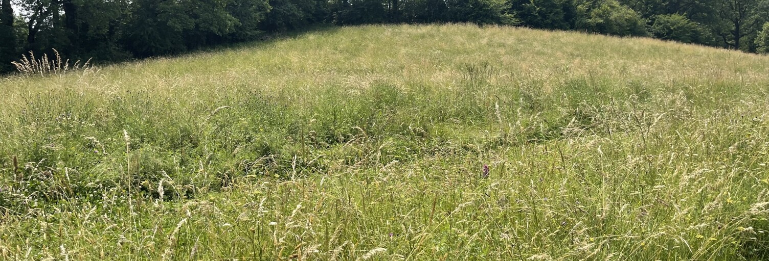 Terrain  1482 m² à vendre à Figeac (46100)