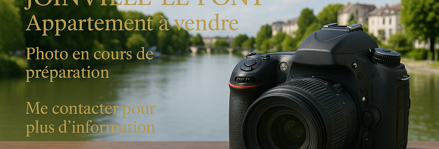 Appartement 4 Pièces 103 m² à vendre à Joinville-le-Pont (94340)