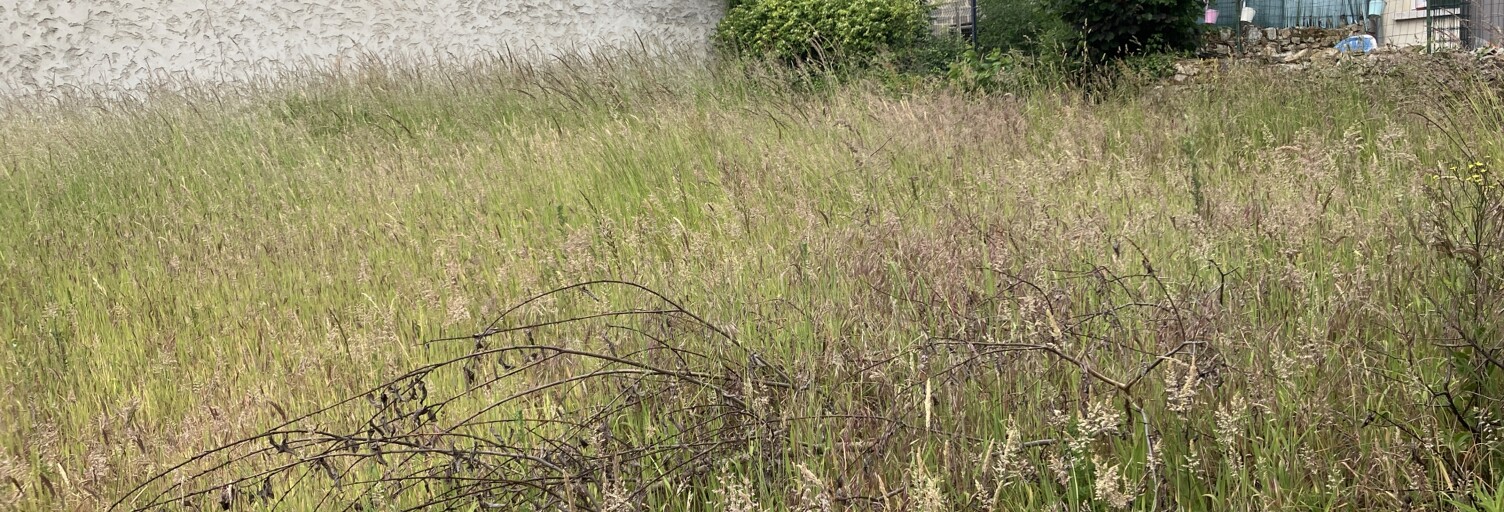 Terrain  426 m² à vendre à Parigné-l'Évêque (72250)