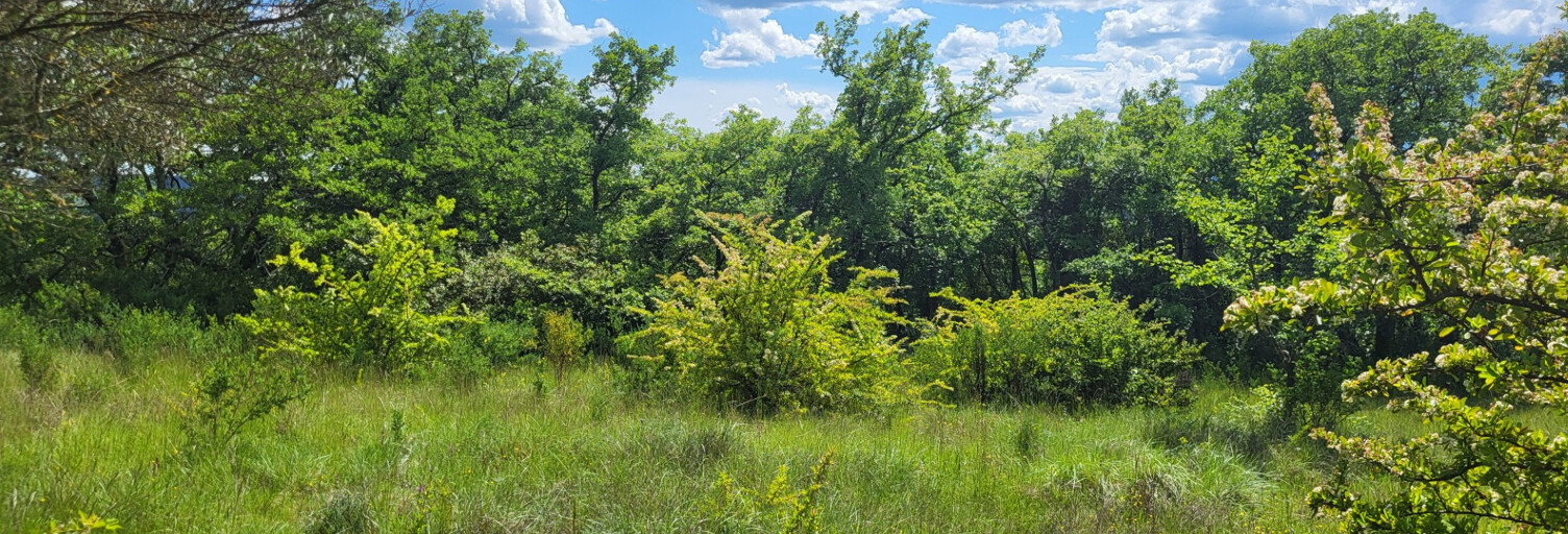 Terrain  1300 m² à vendre à Ners (30360)