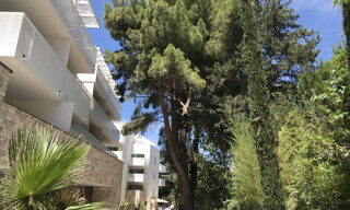 Appartement 1 Pièce 27 m² à louer à Montpellier (34000)