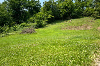 Terrain  26000 €