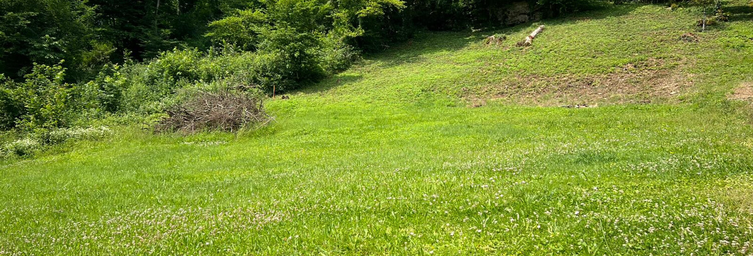 Terrain  1284 m² à vendre à Soye (25250)