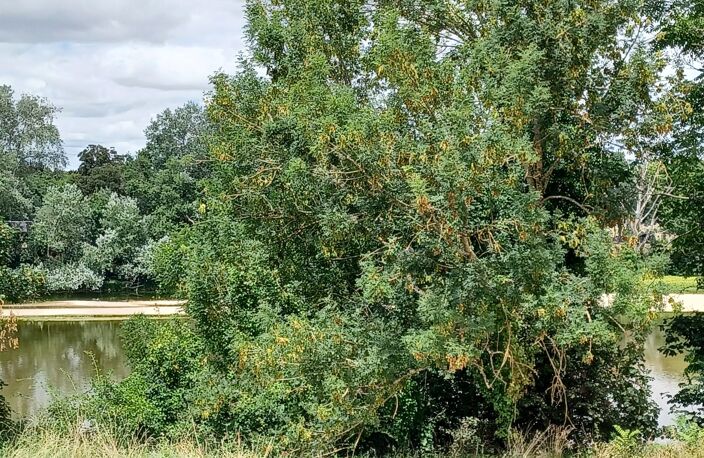 RARE A AMBOISE ! — photo 4