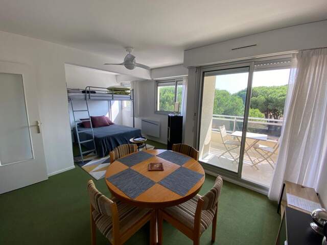 AU COEUR DE LA PALMYRE - Bel Appartement Meublé — photo du bien