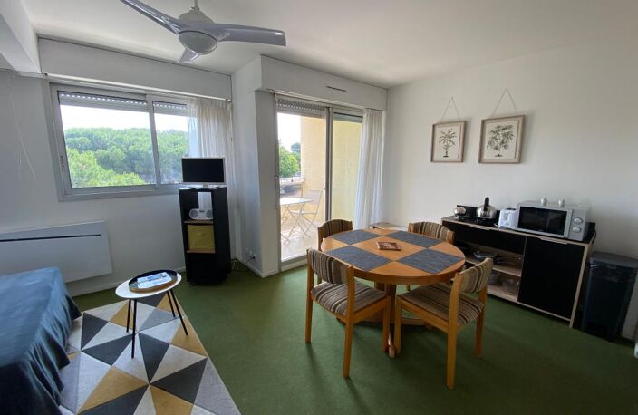 AU COEUR DE LA PALMYRE - Bel Appartement Meublé — photo 3