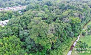 Terrain  15000 m² à vendre à Saint-Laurent-du-Maroni (97320)