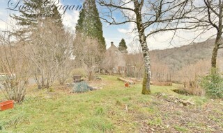 Maison 12 Pièces 336 m² à vendre à Pleaux (15700)