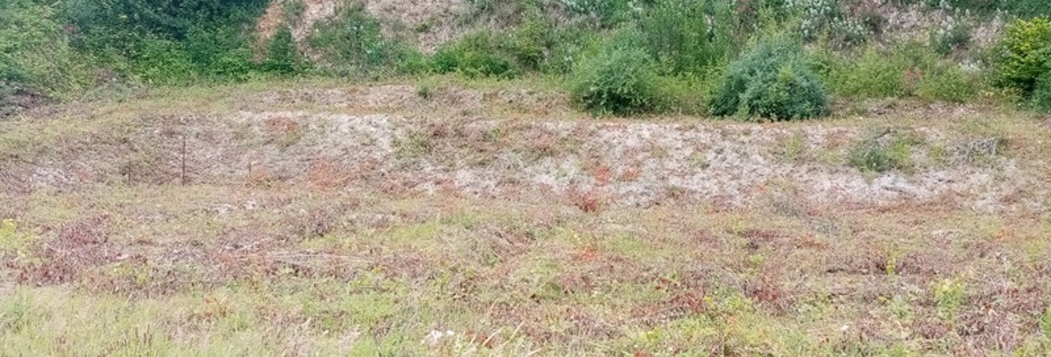 Terrain  1450 m² à vendre à Grainville-la-Teinturière (76450)