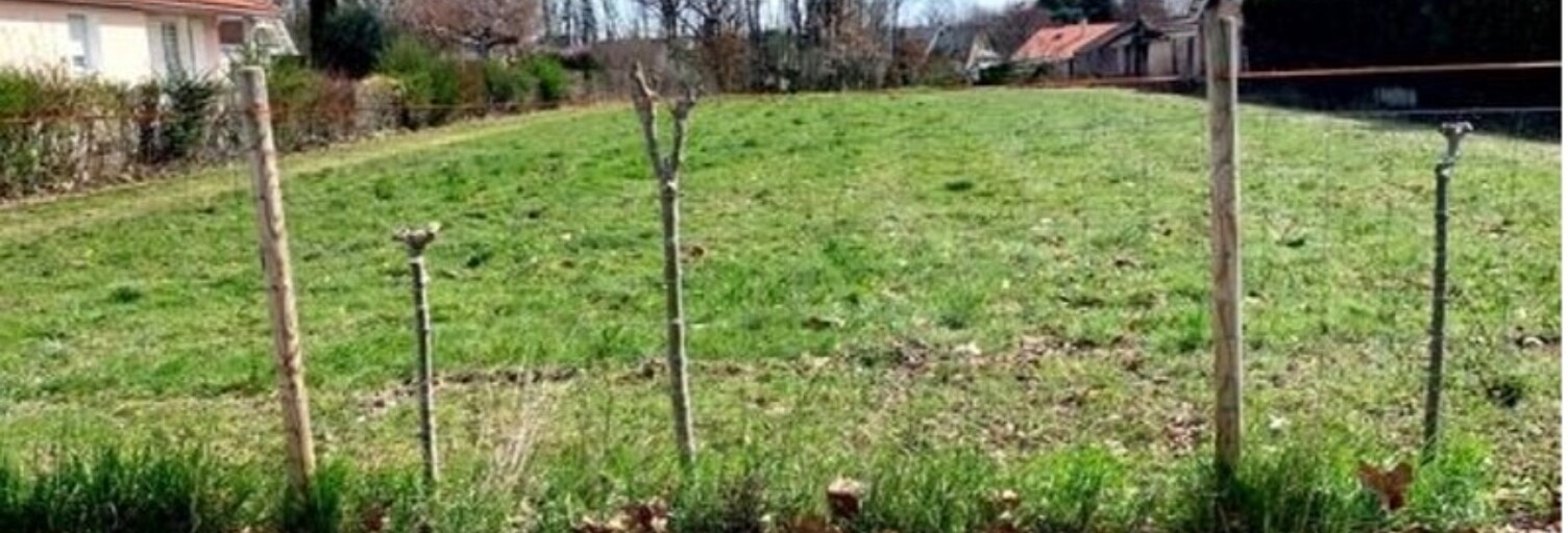 Terrain  3000 m² à vendre à Odos (65310)