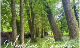 Maison 5 Pièces 130 m² à vendre à Janville-sur-Juine (91510)