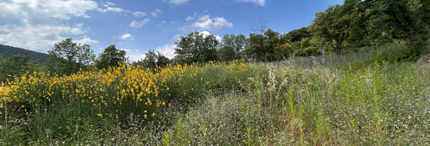 Terrain  2000 m² à vendre à Saint-Martin-d'Ardèche (07700)