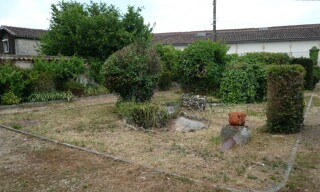 Photo N° 6