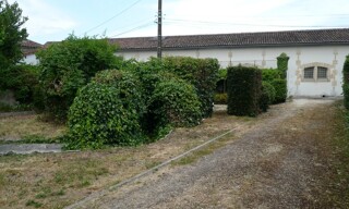 Photo N° 7