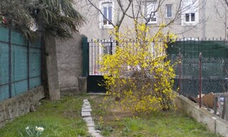Photo N° 5