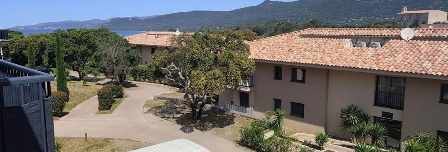 Appartement 1 Pièce 24 m² à vendre à Propriano (20110)