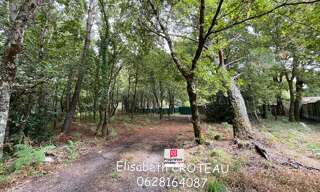 Maison  1677 m² à vendre à Sanguinet (40460)