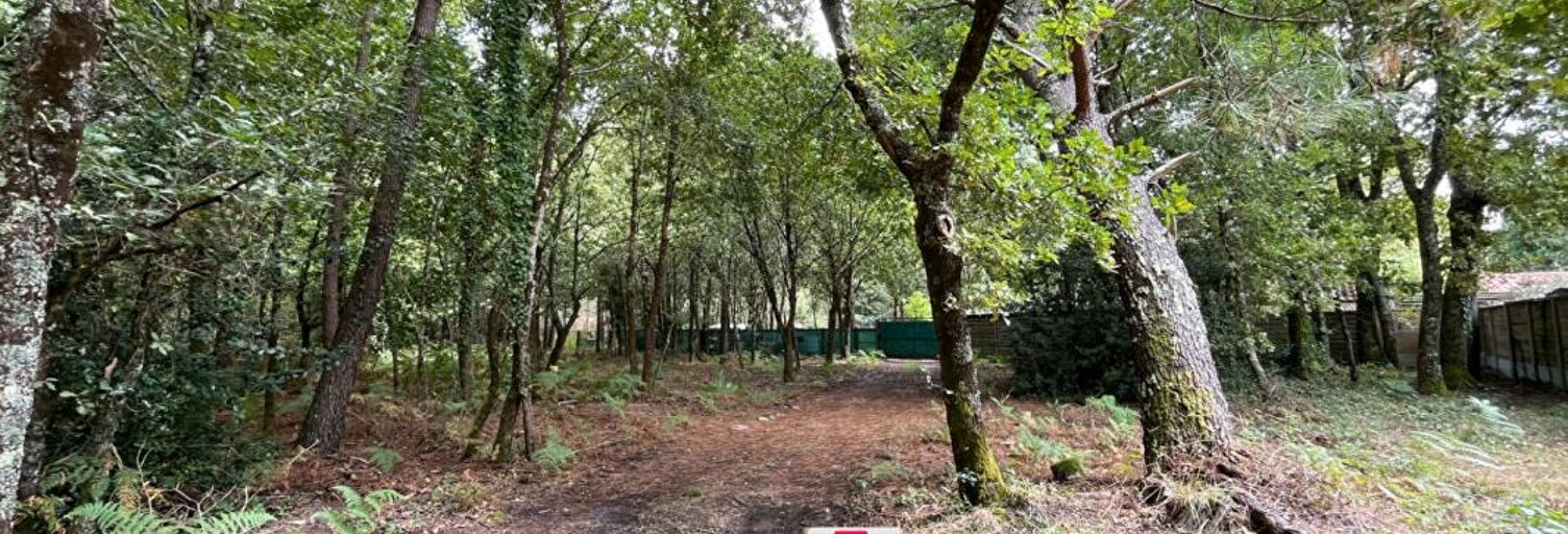 Maison  1677 m² à vendre à Sanguinet (40460)