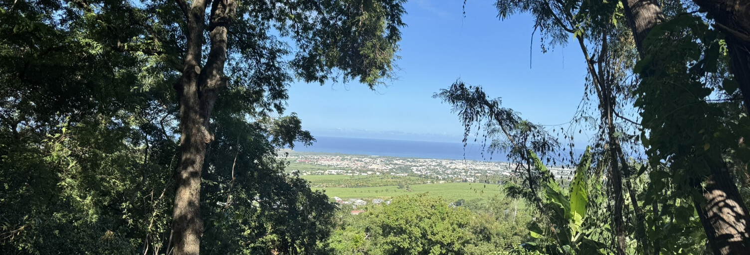 Terrain  542 m² à vendre à Saint-Louis (97421)