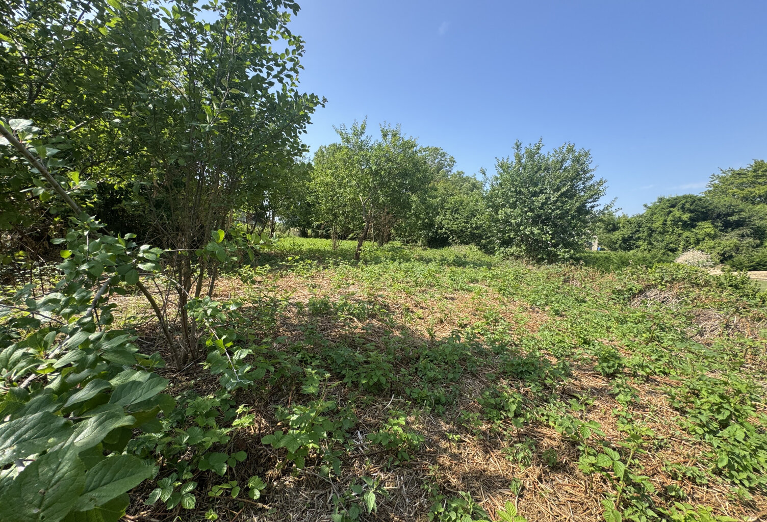 TERRAIN A BATIR — photo 1
