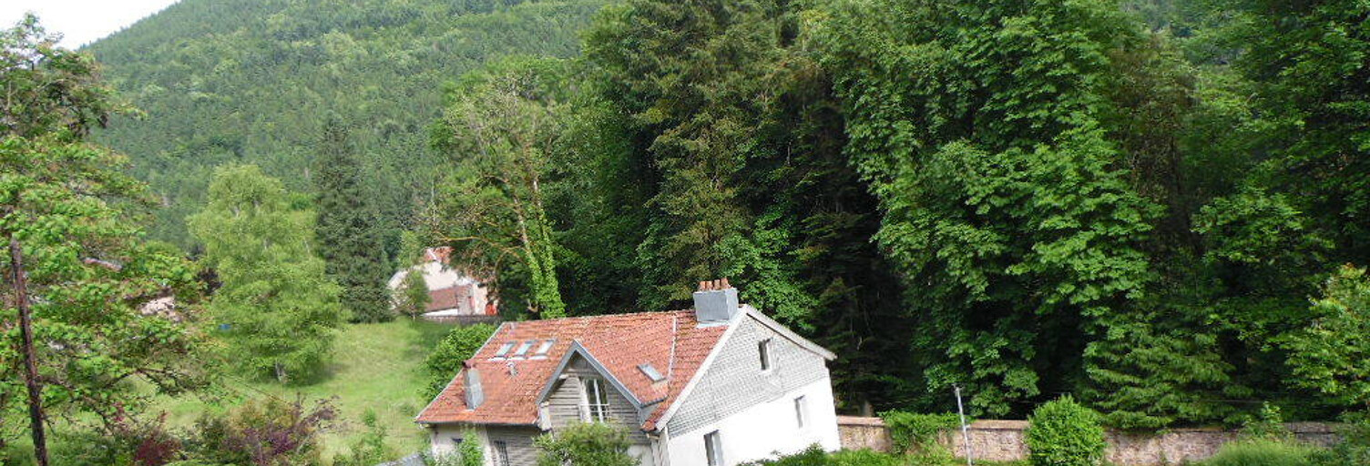 Maison 10 Pièces 218 m² à vendre à Moussey (88210)