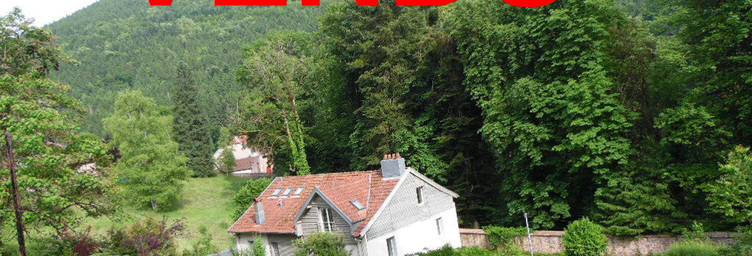 Maison 10 Pièces 218 m² à vendre à Moussey (88210)