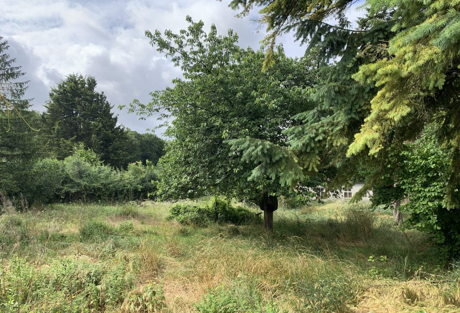 Vente terrain  715 m² Monts (37260) — photo 1