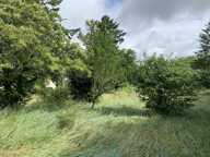 Terrain à construire  715 m²  — photo 3