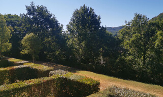 Photo N° 6