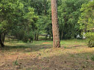 Quartier Plage Pereire, environnement d'exception pour ce te — photo 2