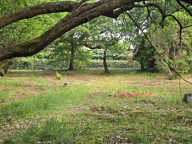 Quartier Plage Pereire, environnement d'exception pour ce te — photo 3