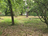Quartier Plage Pereire, environnement d'exception pour ce te — photo 4