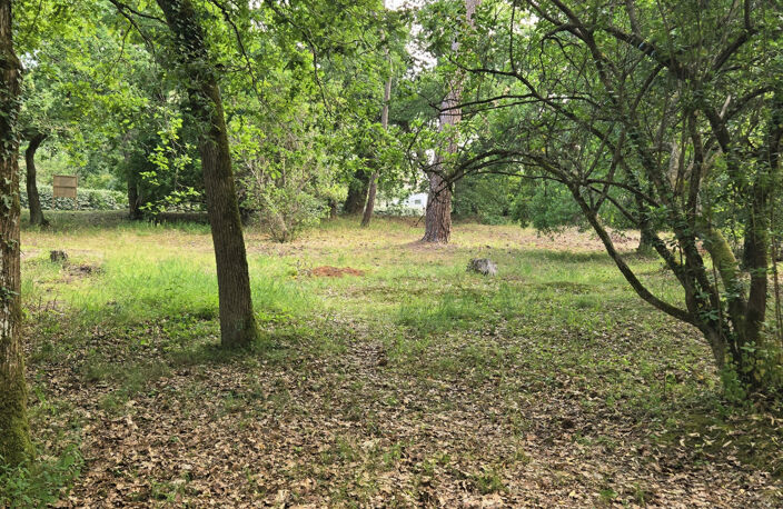 Quartier Plage Pereire, environnement d'exception pour ce te — photo 4