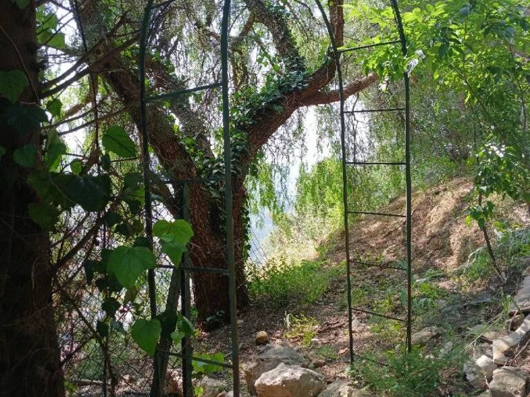 Grande Villa Atypique — photo 1