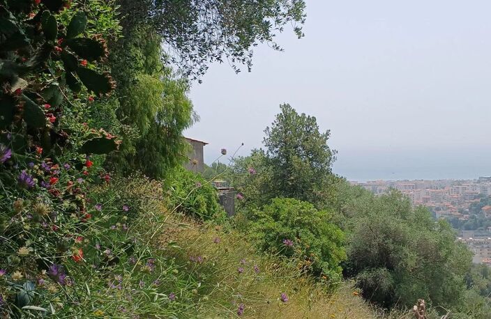 Grande Villa Atypique — photo 5