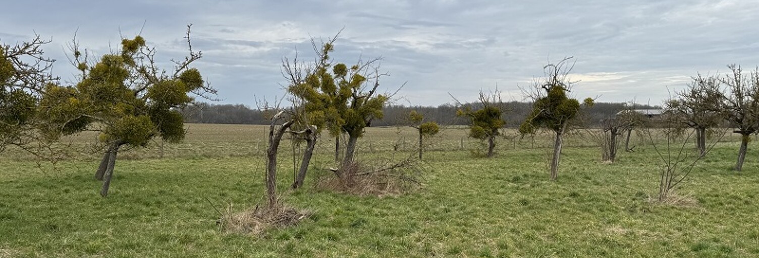 Terrain 464 m² à construire Houdan (78550)