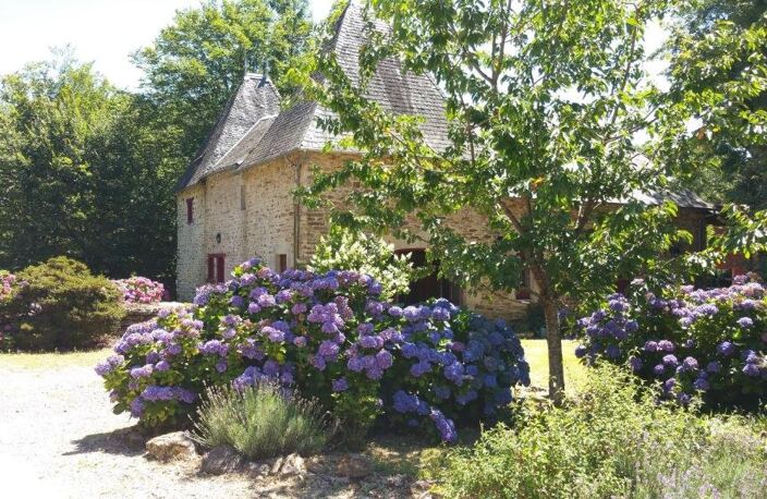 Maison — photo 5