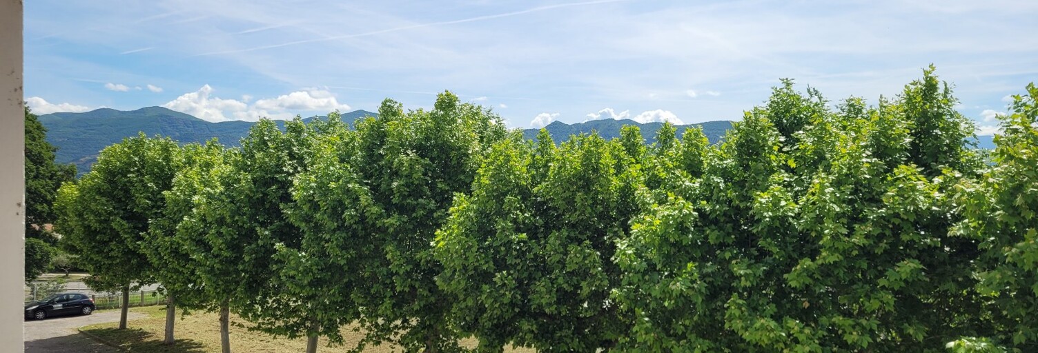 Appartement 3 Pièces 56 m² à vendre à Château-Arnoux-Saint-Auban (04600)