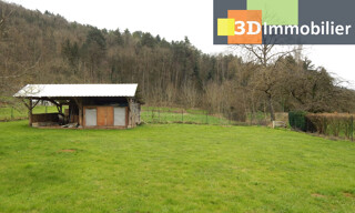 Photo N° 5