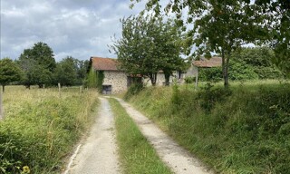 Photo N° 6