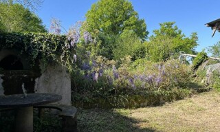 Photo N° 3