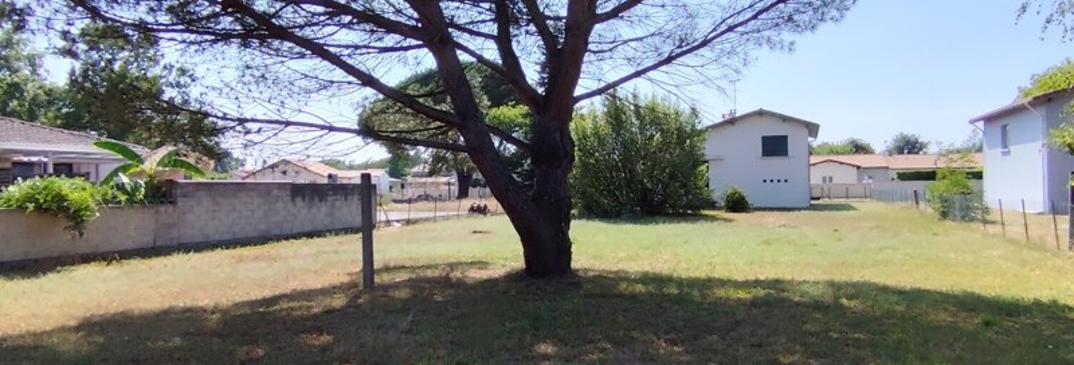 Maison 4 Pièces 81 m² à vendre à Saint-Jean-d'Illac (33127)