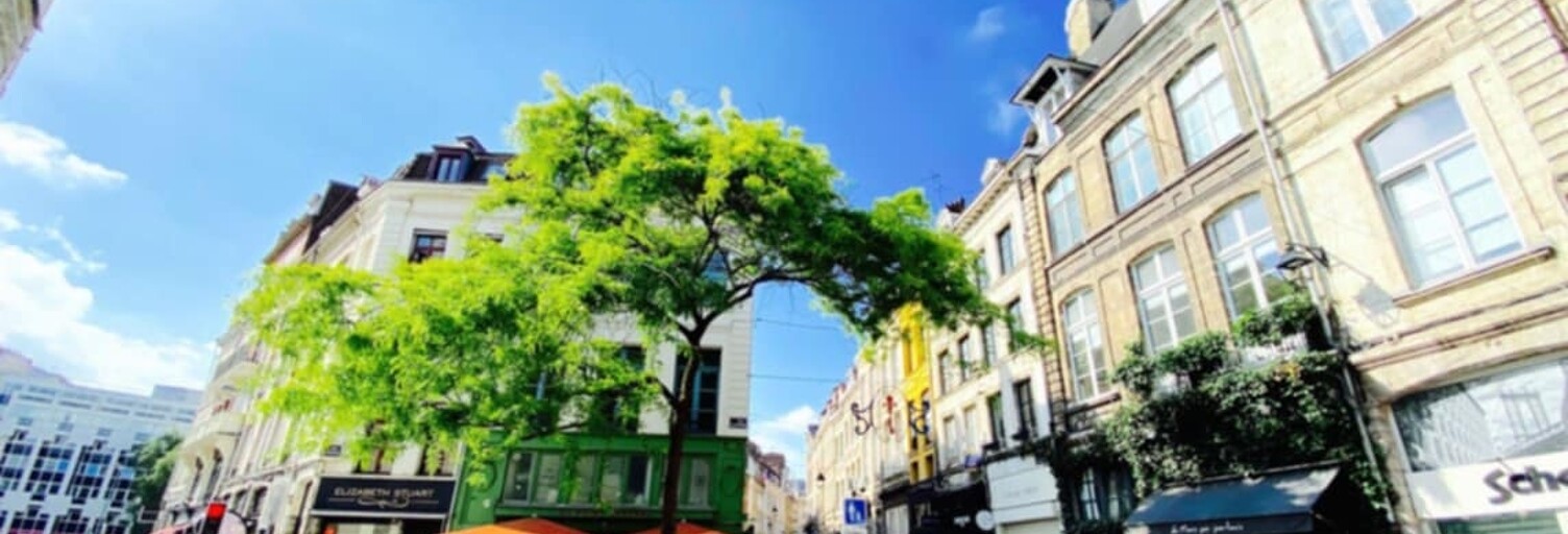 Immeuble  125 m² à vendre à Lille (59800)