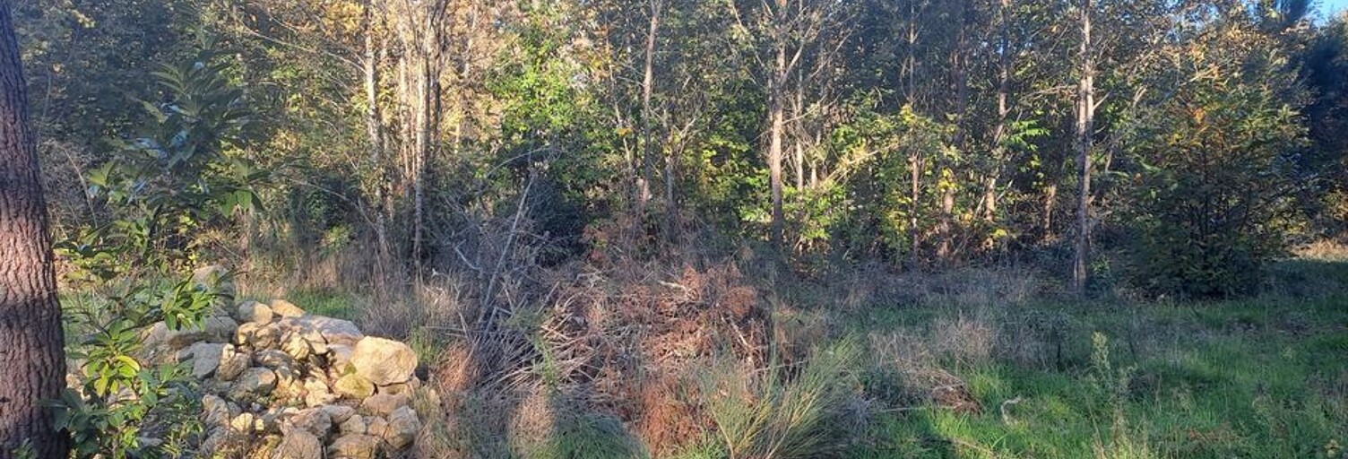 Terrain  1080 m² à vendre à Saint-Sauveur (33250)