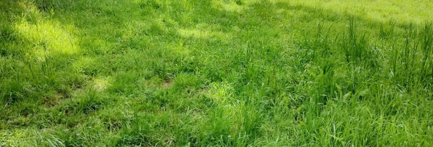 Terrain  1593 m² à vendre à Combrit (29120)